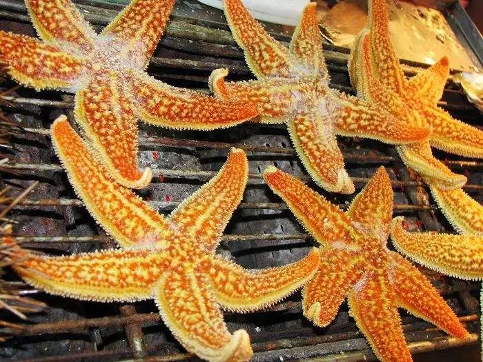 海星二元期权技巧_海星籽怎么吃_海星籽营养价值