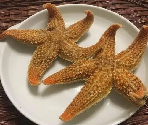 海星籽营养价值_海星二元期权技巧_海星籽怎么吃