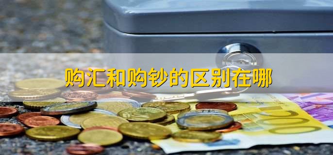 银行购汇与结汇区别_购汇 结汇_购汇和结汇区别