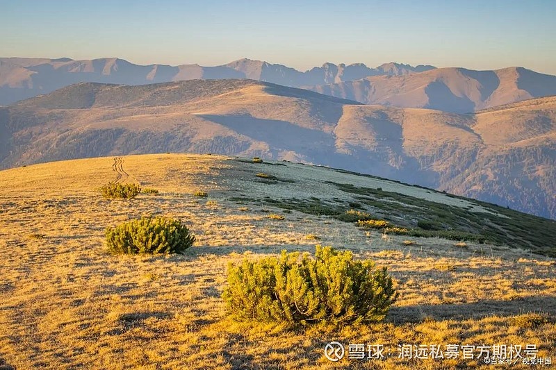 期权基本概念_期权合约要素_期权 straddle