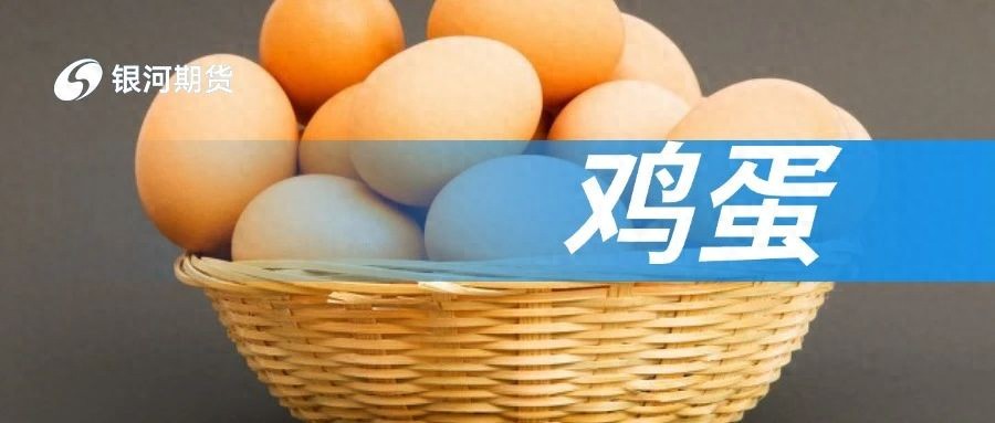 银河股指期货_鸡蛋市场供应压力_鸡蛋期货持仓分析