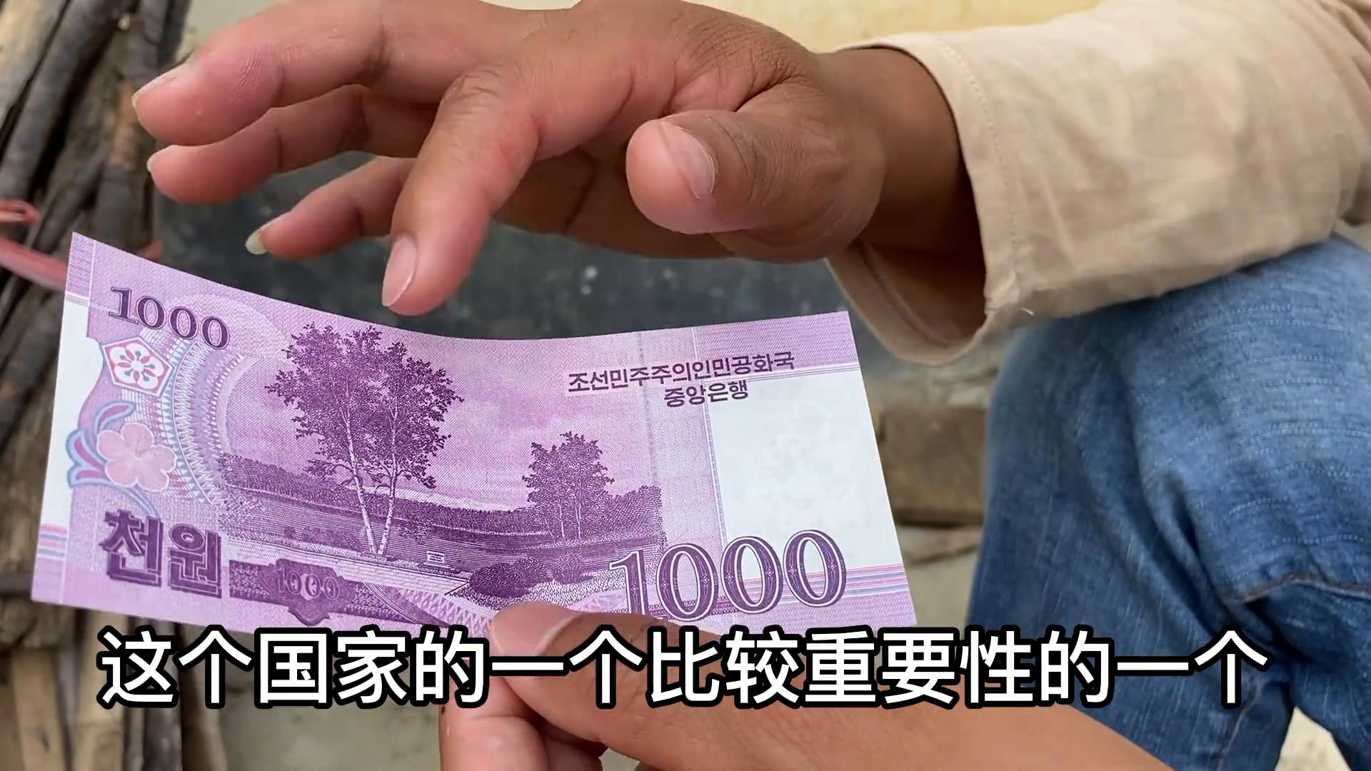 外币自由兑换人民币_哪个国家外币值钱_1000面值外币识别