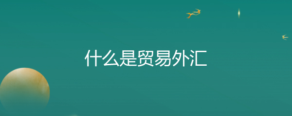 什么是贸易外汇