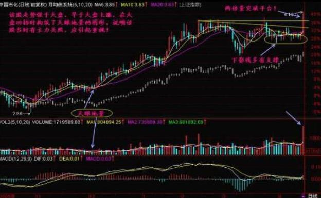 *股票是什么意思_牛市启动时间预测_A股熊市底部判断
