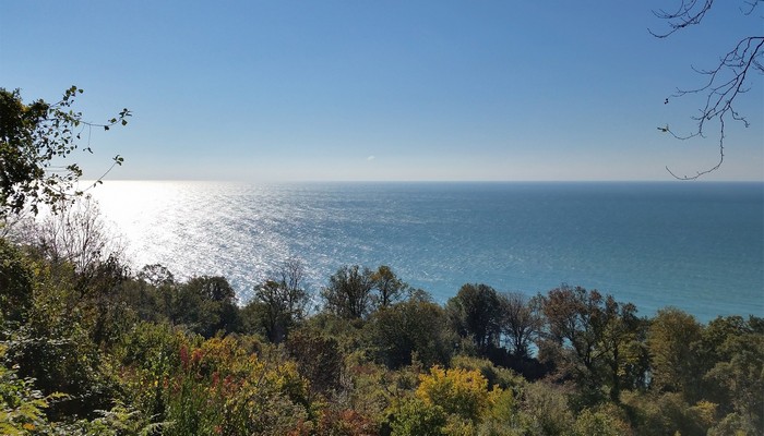 三个月期远期外汇 远期外汇套期保值例子