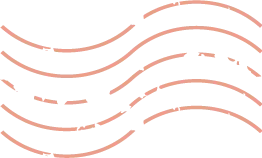 中央外汇业务中心电话_国家外汇管理局中央外汇业务中心2025年度应届毕业生招聘_国家外汇管理局中央外汇业务中心招聘条件