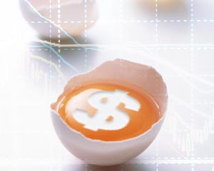 鸡蛋期货双开策略应用_期货双开是什么意思_鸡蛋期货双开含义作用