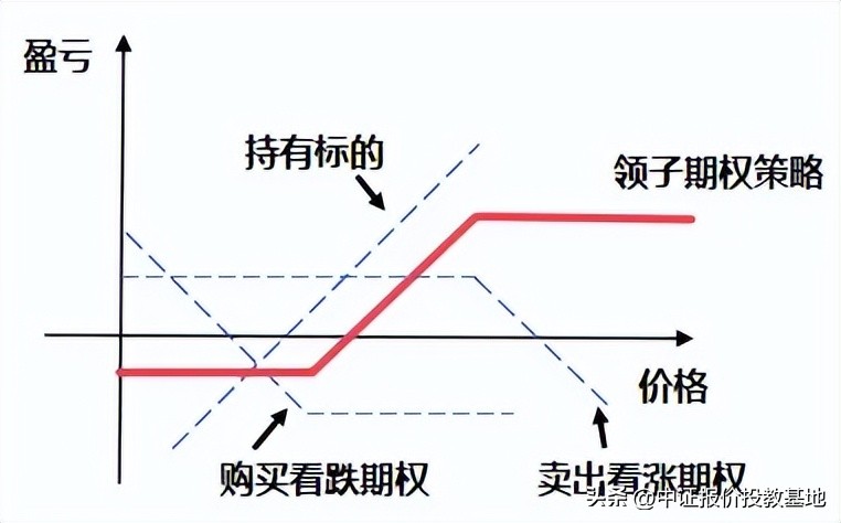 领子期权策略应用_期权风险管理功能_期权市场基础