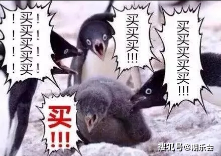 股票价格不动为何亏钱_期权交易策略_哥特二元期权新手指南