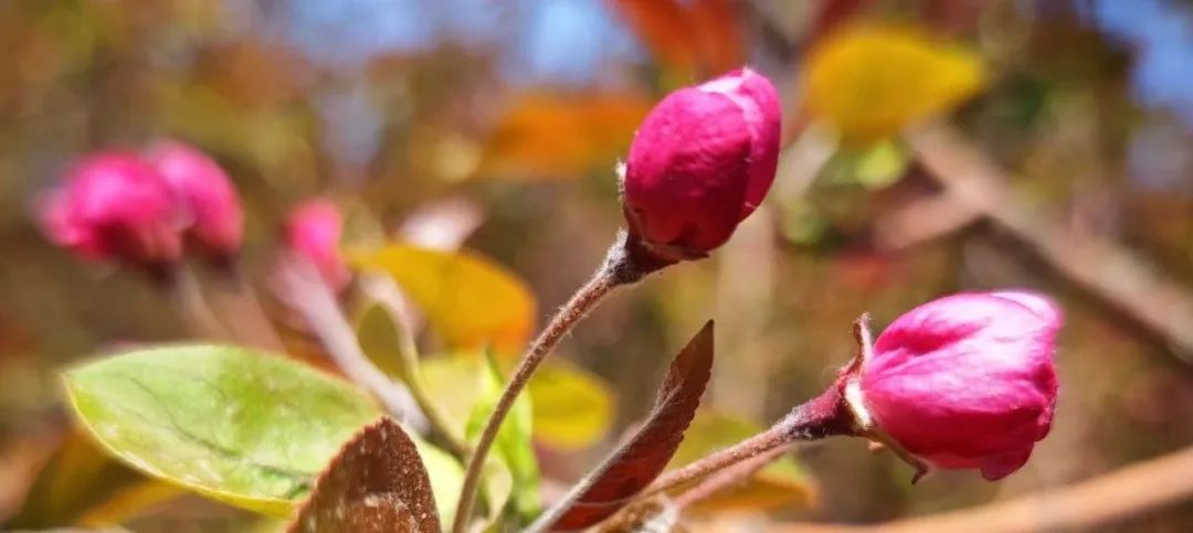 市场采购贸易收结汇业务规范_外汇结汇流程_银行外汇业务展业原则之市场采购贸易收结汇业务展业规范