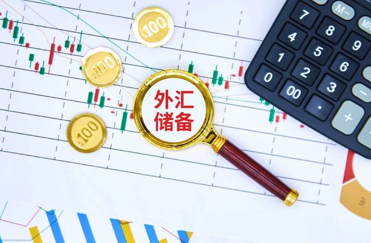 中国外汇储备的作用_外汇储备作用与来源_中国外汇储备分析