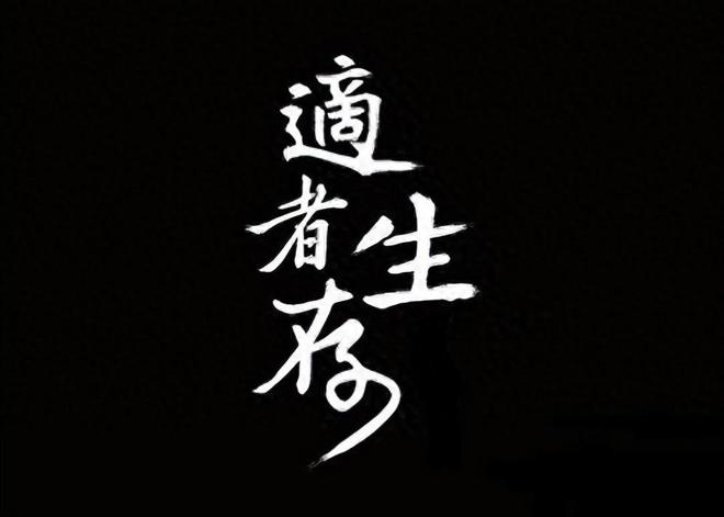 股票里的外盘和内盘_成交量选股_股票投资技巧