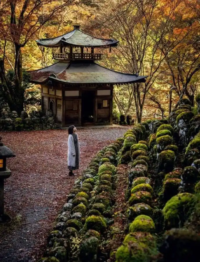 日本外汇储备世界排名_日元贬值对日本经济影响_日本海外净资产排名