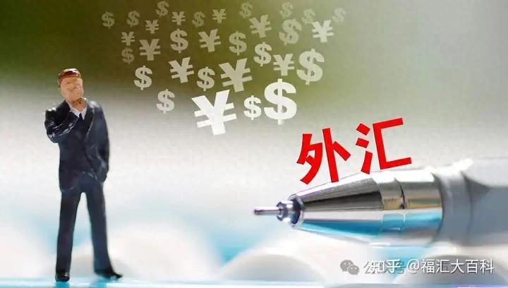 外汇交易快速入门pdf_外汇新手注意事项_外汇交易风险管理