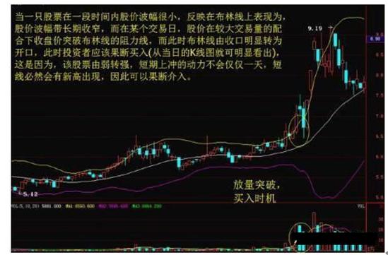股票量柱图片_量柱擒涨停_量柱真实性