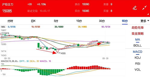 沪市期货多少钱