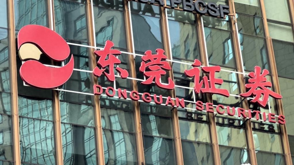 东莞证券IPO审核恢复_东莞证券财务数据下滑_东莞证券2025掌证宝