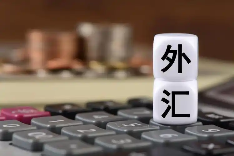 如何外汇投资_外汇新手必备技巧_外汇投资入门指南