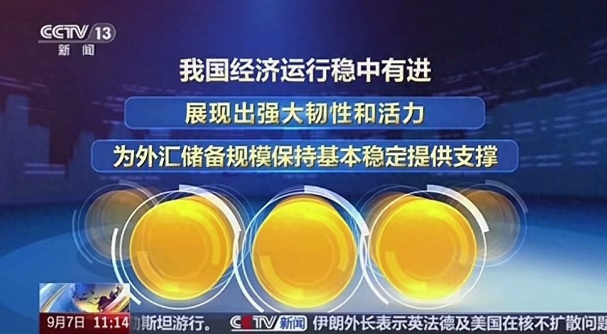 美元指数贬值对外汇储备影响_中国外汇储备规模增长原因_我国外汇储备结构