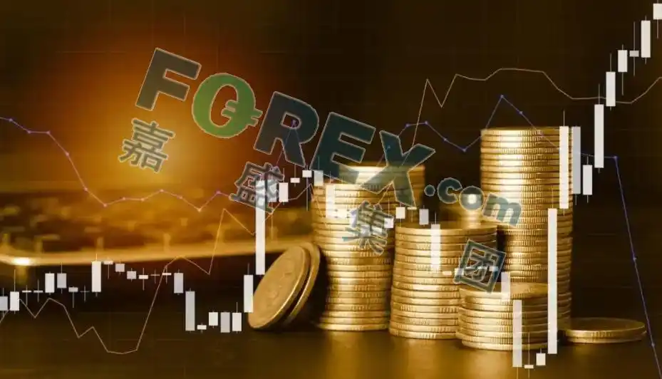 理解外汇市场运作机制_外汇市场的作用_外汇交易核心概念与作用