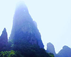 国际原油指数快讯通_美元涨原油重挫3.3%_沙特宣布对也门实行为期五天的人道主义停火