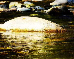 沙特宣布对也门实行为期五天的人道主义停火_国际原油指数快讯通_美元涨原油重挫3.3%