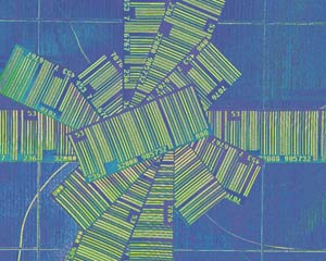 国际原油指数快讯通_沙特宣布对也门实行为期五天的人道主义停火_美元涨原油重挫3.3%