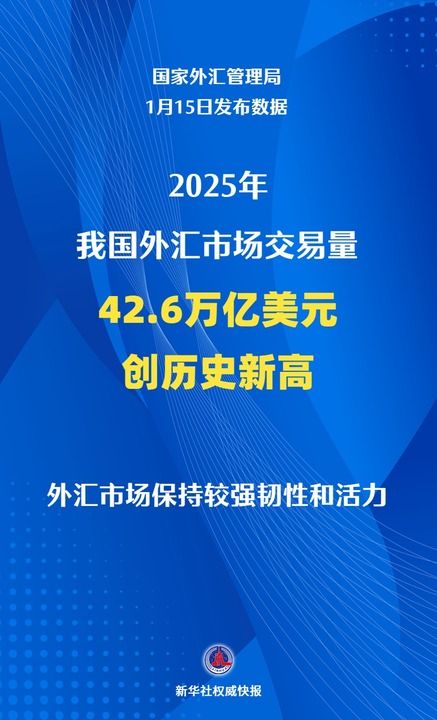 中国对外净资产历史新高_国际外汇市场最核心的主体是_中国外汇市场交易量历史新高