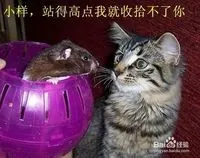 怎样做好外汇交易中的风险持仓控制