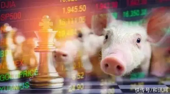 猪肉概念股走势_猪肉期货走势_农业农村部猪价分析