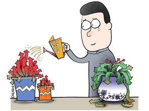 投资系统耐心等待_投资回撤控制_期指k线图