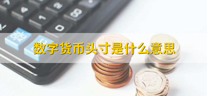 数字货币头寸_现金头寸交易_头寸调拨的四种基