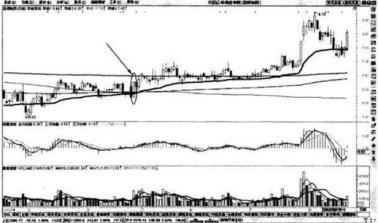 均线系统实战应用_EXPMA与MACD指标结合_股票expma指标