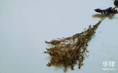 私人外汇兑换合法吗