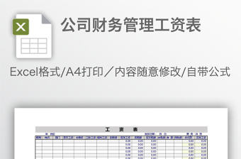 公司财务管理工资表