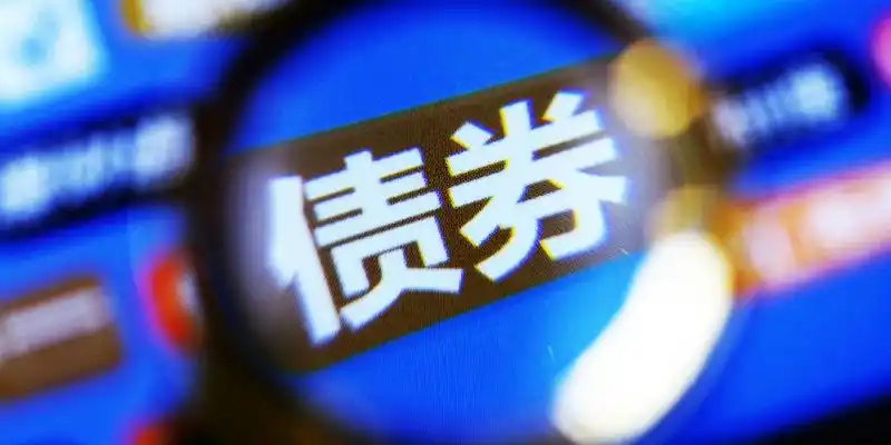 债券违约诉讼 中介机构责任界定 债券欺诈发行案件_债市风暴案件