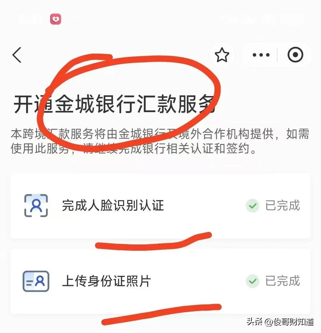 个人 外汇 额度_闪速汇出境外汇款_支付宝跨境汇款