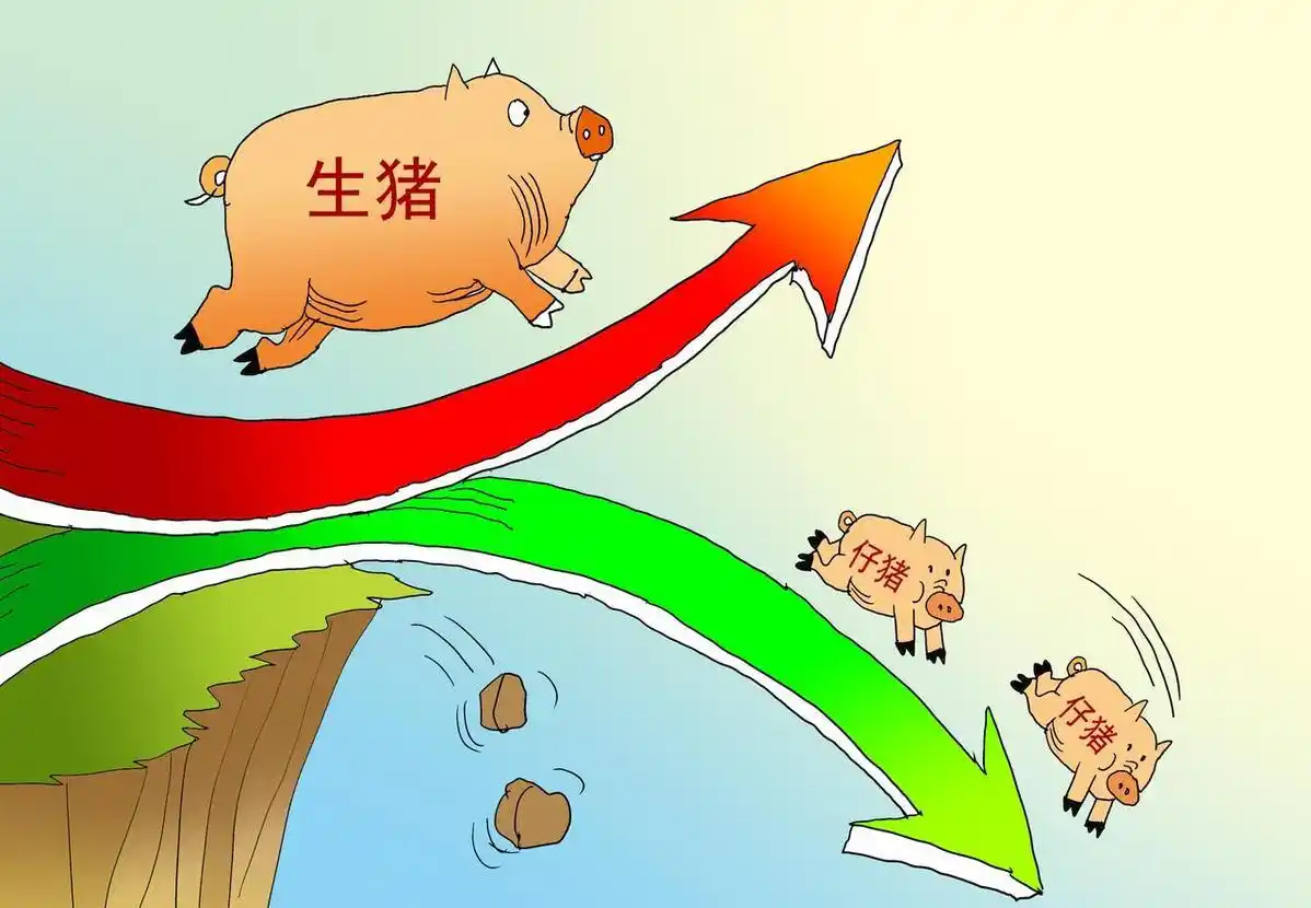 原油变化率_油价下跌幅度收窄_生猪价格僵持期