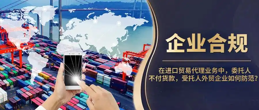 外贸公司代理纯收汇_外贸公司防范委托人不支付货款风险_进口贸易代理业务模式