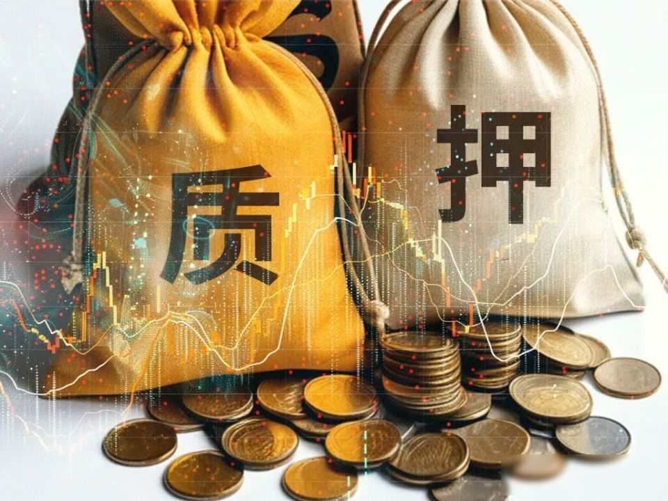 刘益谦长江证券持股变化_刘益谦子女亨迪药业质押_刘益谦持有的股票