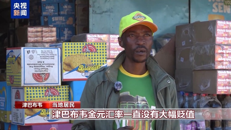 津巴布韦新货币稳定性分析_美元币种图片_津巴布韦金元汇率走势