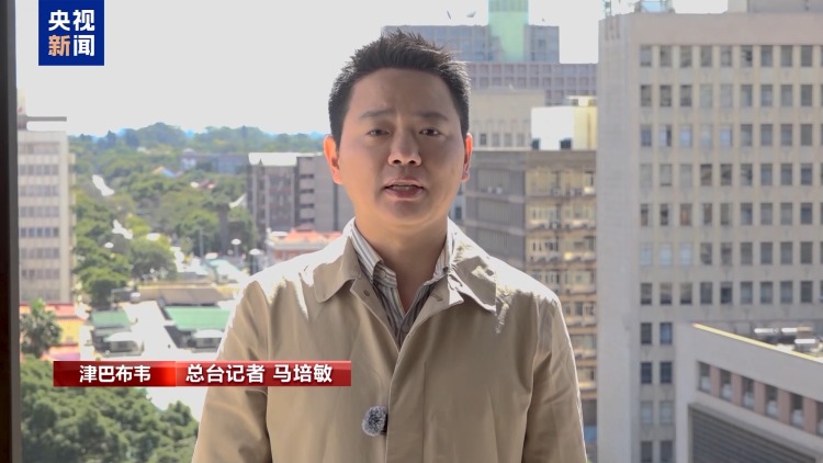 津巴布韦金元汇率走势_美元币种图片_津巴布韦新货币稳定性分析