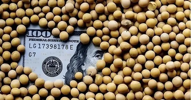 中美贸易谈判大豆采购_中美关系大豆交易_美国大豆期货最新消息