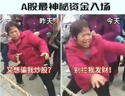 场外配资风险_外汇交易配资_高杠杆炒股风险