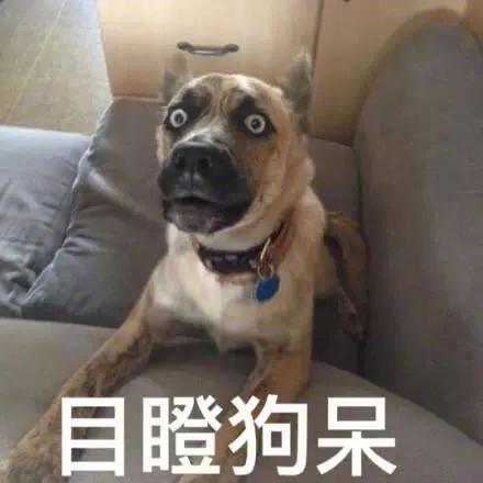 场外配资风险_高杠杆炒股风险_外汇交易配资